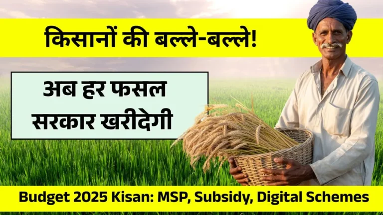 Budget 2025 Kisan