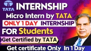 Tata Micro Internship 2025